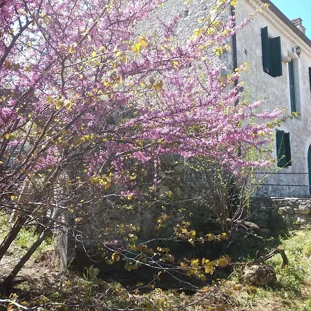 Karya Traditional Case de vacanță Kariá